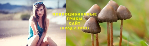 прущий лед Вязники