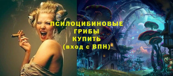 прущий лед Вязники